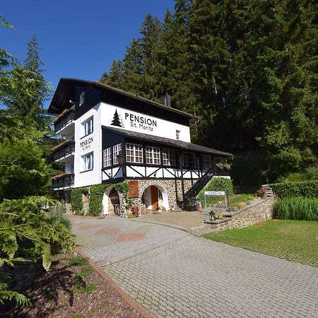 Pension St. Moritz Zelezna Ruda Exterior foto