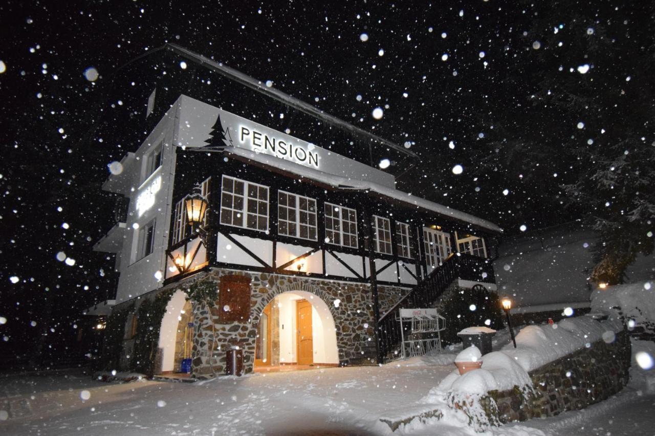 Pension St. Moritz Zelezna Ruda Exterior foto